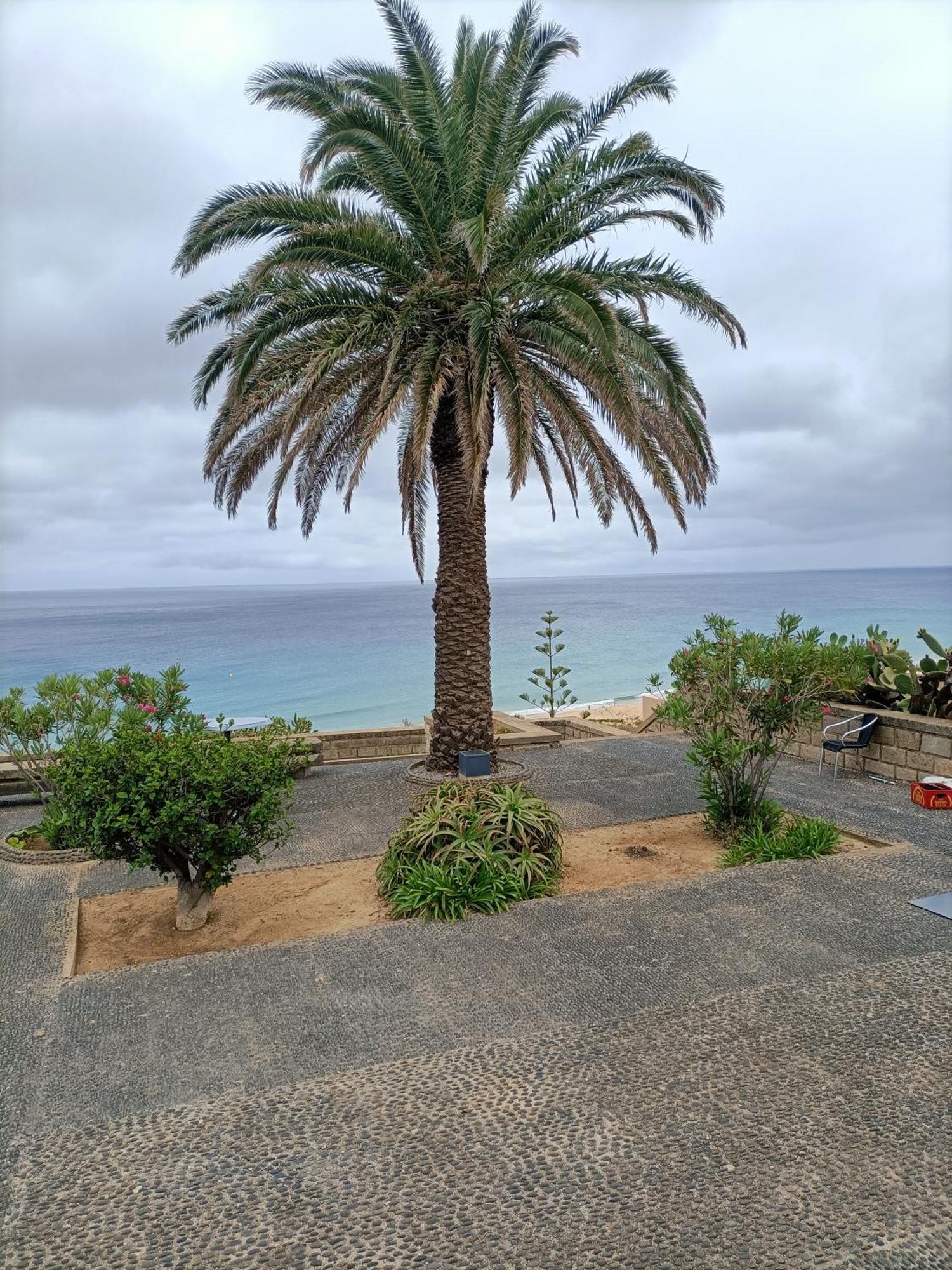 Golden Beach House Порто Санто Екстериор снимка